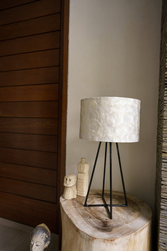 Table Lamp full shell standing on a side table