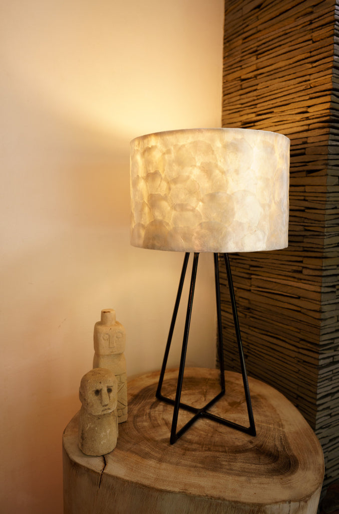 Table Lamp full shell standing on a side table